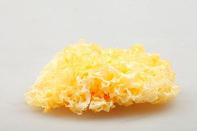 《寂静岭f》官宣小说化！知名作者执笔 10月30日发售